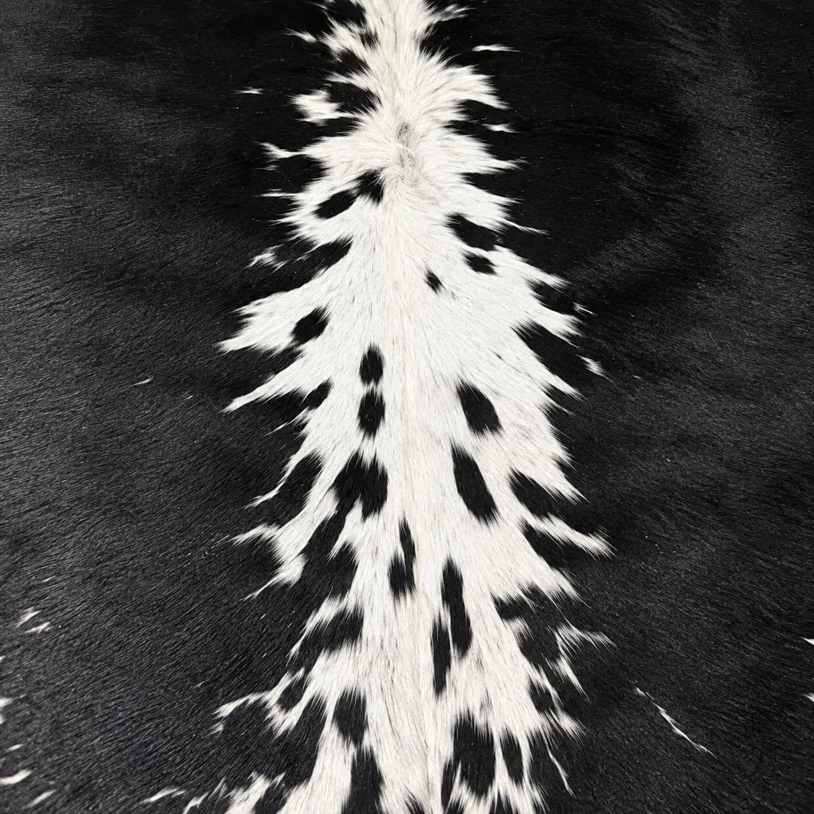 Genuine Black & White Spotted Cowhide Rug Natural, Luxurious