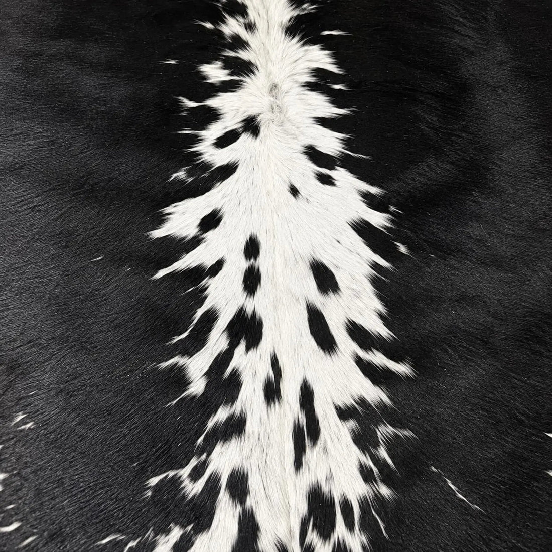 Genuine Black & White Spotted Cowhide Rug Natural, Luxurious